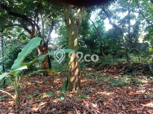 Tanah Dijual Area Strategis di Bambu Apus Jakarta Timur 6465m2 Tanah Dijual Area Strategis di Bambu Apus Jakarta Timur 6465m2