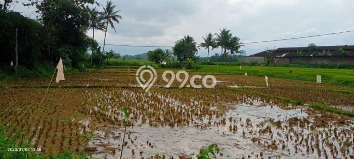 Tanah Kavling untuk Dijual di Cilaku Cianjur 18000m2 Tanah Kavling untuk Dijual di Cilaku Cianjur 18000m2