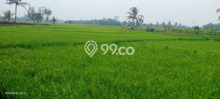 Tanah Kavling untuk Dijual di Cilaku Cianjur 18000m2 Tanah Kavling untuk Dijual di Cilaku Cianjur 18000m2
