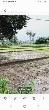 Tanah Kavling untuk Dijual di Cilaku Cianjur 18000m2 Tanah Kavling untuk Dijual di Cilaku Cianjur 18000m2