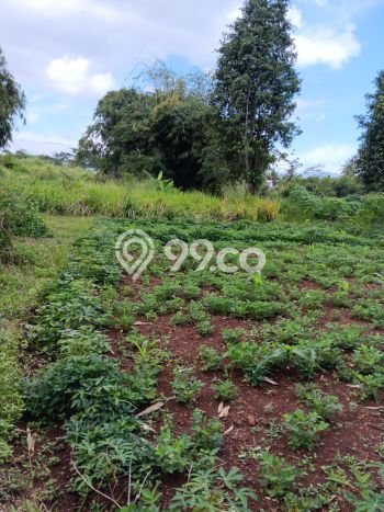 Kavling Tanah Dijual di Cianjur, Cianjur, Luas 14m2 Area Strategis Kavling Tanah Dijual di Cianjur, Cianjur, Luas 14m2 Area Strategis