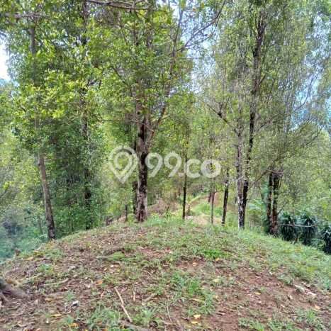 Kavling Tanah di Cisolok Dijual Luas 15000m2 Legalitas AJB Kavling Tanah di Cisolok Dijual Luas 15000m2 Legalitas AJB