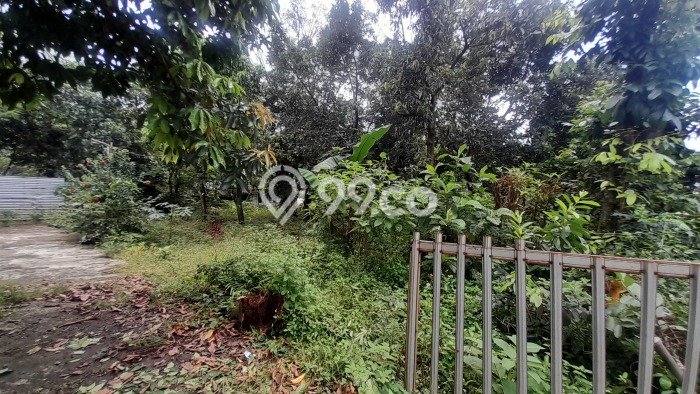 Tanah Siap Bangun Dijual di Bogor Punya Luas 1813m2 Tanah Siap Bangun Dijual di Bogor Punya Luas 1813m2