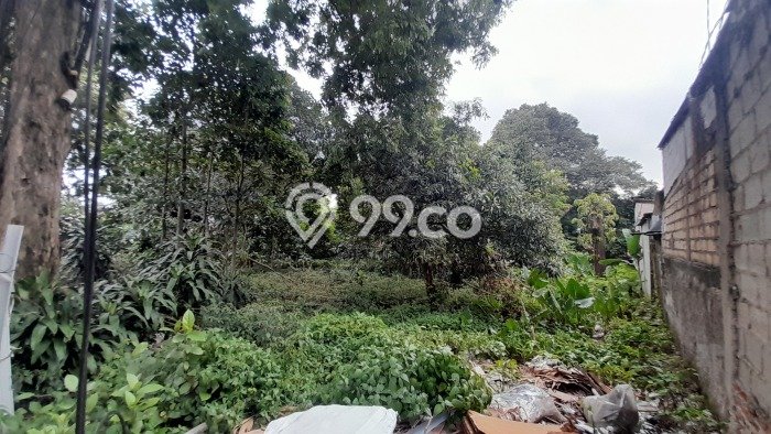 Tanah Kavling Dijual di Ciganjur, Jakarta Selatan dengan Luas Tanah 4000m2 Tanah Kavling Dijual di Ciganjur, Jakarta Selatan dengan Luas Tanah 4000m2