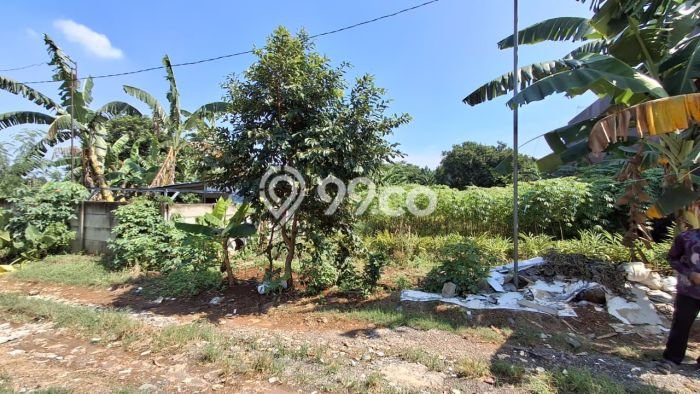 Tanah Dijual di Bogor Seluas 1000m2 Strategis Tanah Dijual di Bogor Seluas 1000m2 Strategis