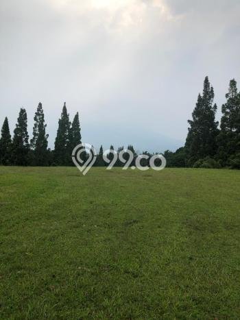 Kavling Tanah untuk Dijual di Kertamaya, Bogor, Luas 1167m2 Kavling Tanah untuk Dijual di Kertamaya, Bogor, Luas 1167m2