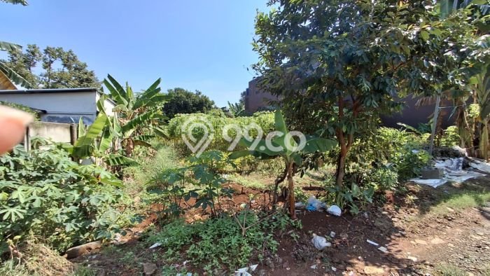 Tanah Dijual di Bogor Seluas 1000m2 Strategis Tanah Dijual di Bogor Seluas 1000m2 Strategis