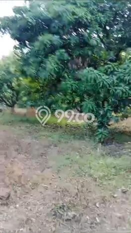 Jual Tanah Kawasan Bisnis di , Luas 14930m2m², Potensi Bagus Jual Tanah Kawasan Bisnis di , Luas 14930m2m², Potensi Bagus