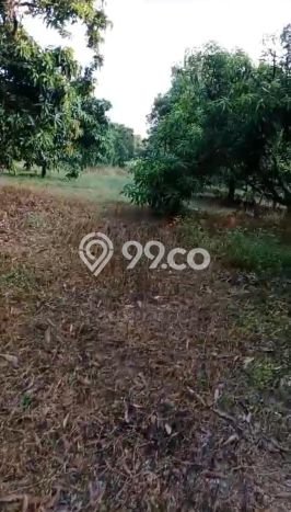 Jual Tanah Kawasan Bisnis di , Luas 14930m2m², Potensi Bagus Jual Tanah Kawasan Bisnis di , Luas 14930m2m², Potensi Bagus