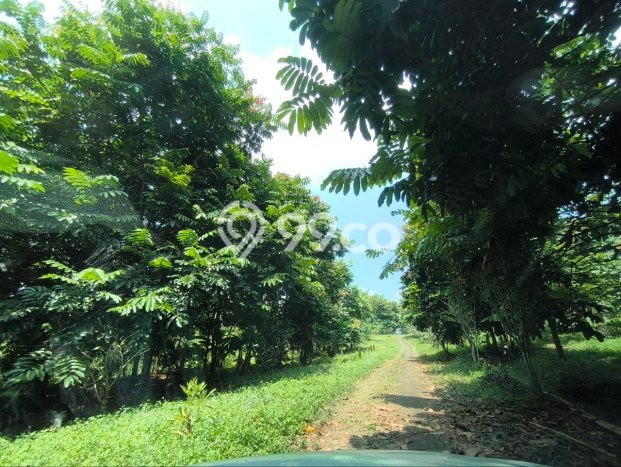 For Sale Tanah di Prigen, Luas 180000m2m², Akses Prigen, Pasuruan, Pasuruan For Sale Tanah di Prigen, Luas 180000m2m², Akses Prigen, Pasuruan, Pasuruan