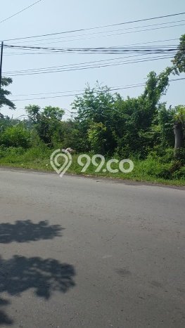 Tanah Komersial Dijual di Candi Sidoarjo 5096m2 Tanah Komersial Dijual di Candi Sidoarjo 5096m2