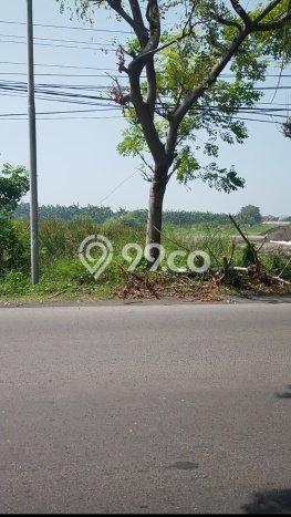 Tanah Komersial Dijual di Candi Sidoarjo 5096m2 Tanah Komersial Dijual di Candi Sidoarjo 5096m2