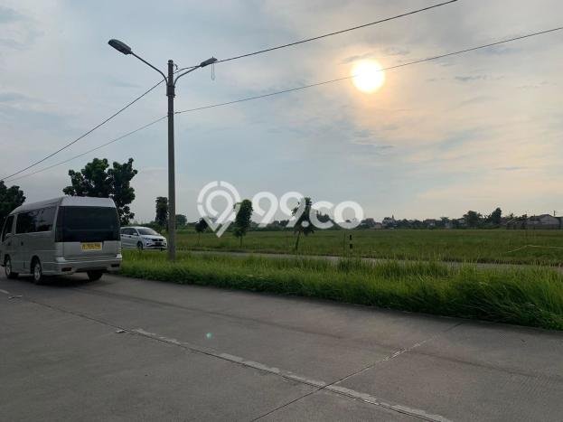 Jarang Ada! Tanah di Karawang Timur Punya Luas 25000m2 SHM Jarang Ada! Tanah di Karawang Timur Punya Luas 25000m2 SHM