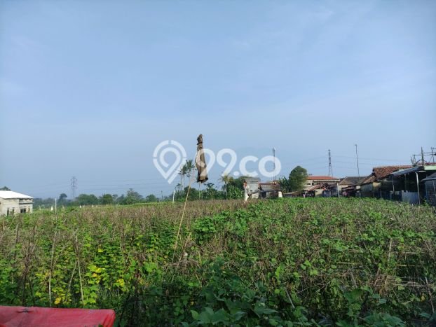 Jarang Ada! Tanah di Caringin Punya Luas 1500m2 SHM Jarang Ada! Tanah di Caringin Punya Luas 1500m2 SHM