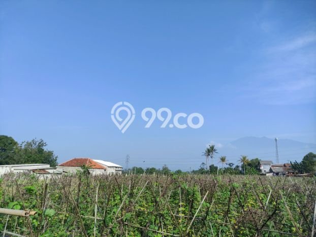Jarang Ada! Tanah di Caringin Punya Luas 1500m2 SHM Jarang Ada! Tanah di Caringin Punya Luas 1500m2 SHM
