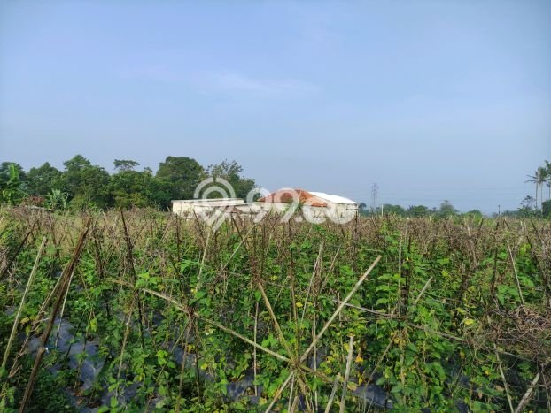 Jarang Ada! Tanah di Caringin Punya Luas 1500m2 SHM Jarang Ada! Tanah di Caringin Punya Luas 1500m2 SHM