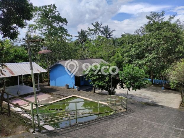 Tanah untuk Dijual Lokasi Cigombong, Bogor Luas 2000m2 SHM Tanah untuk Dijual Lokasi Cigombong, Bogor Luas 2000m2 SHM