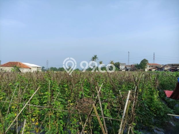 Jarang Ada! Tanah di Caringin Punya Luas 1500m2 SHM Jarang Ada! Tanah di Caringin Punya Luas 1500m2 SHM