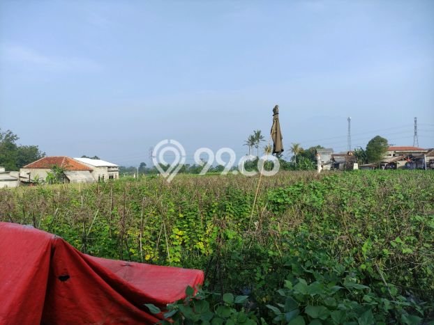 Jarang Ada! Tanah di Caringin Punya Luas 1500m2 SHM Jarang Ada! Tanah di Caringin Punya Luas 1500m2 SHM