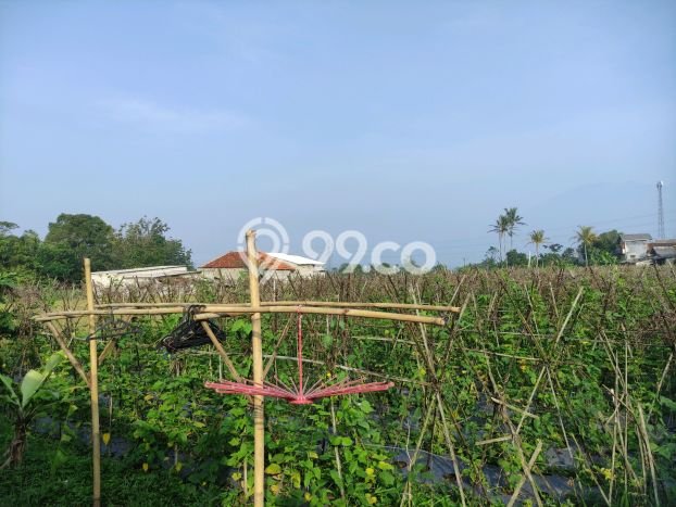Jarang Ada! Tanah di Caringin Punya Luas 1500m2 SHM Jarang Ada! Tanah di Caringin Punya Luas 1500m2 SHM