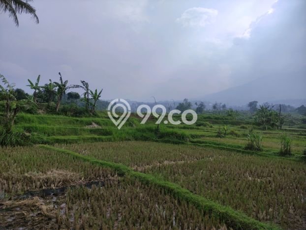 Lahan Kosong Dijual di Bogor dengan Area 2370m2 Lahan Kosong Dijual di Bogor dengan Area 2370m2