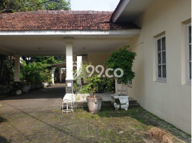 Siap Huni Rumah Mewah 3 Kamar di Menteng Dekat ke Mana Saja Siap Huni Rumah Mewah 3 Kamar di Menteng Dekat ke Mana Saja
