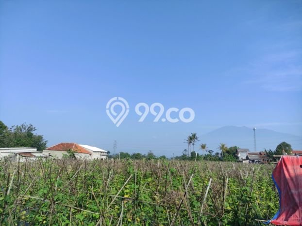 Jarang Ada! Tanah di Caringin Punya Luas 1500m2 SHM Jarang Ada! Tanah di Caringin Punya Luas 1500m2 SHM