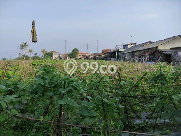 Jarang Ada! Tanah di Caringin Punya Luas 1500m2 SHM Jarang Ada! Tanah di Caringin Punya Luas 1500m2 SHM
