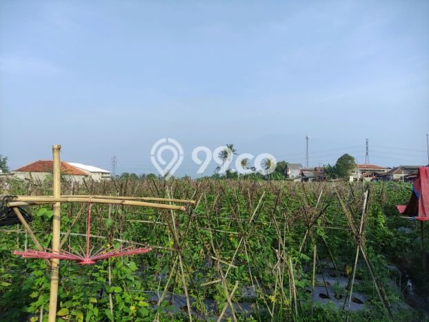 Jarang Ada! Tanah di Caringin Punya Luas 1500m2 SHM Jarang Ada! Tanah di Caringin Punya Luas 1500m2 SHM