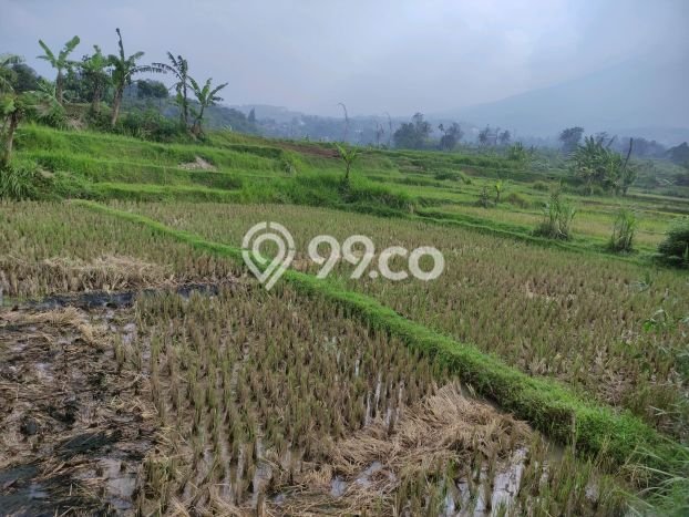 Lahan Kosong Dijual di Bogor dengan Area 2370m2 Lahan Kosong Dijual di Bogor dengan Area 2370m2