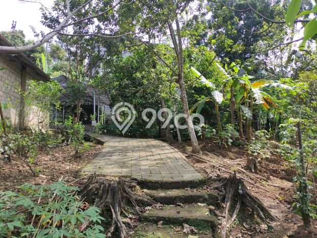 Tanah untuk Dijual Lokasi Cigombong, Bogor Luas 2000m2 SHM Tanah untuk Dijual Lokasi Cigombong, Bogor Luas 2000m2 SHM