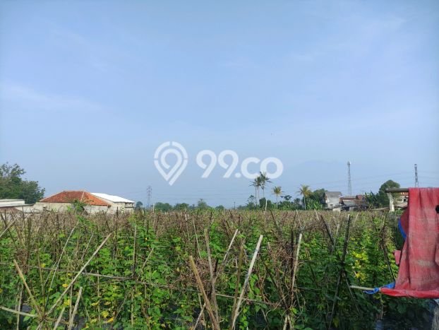 Jarang Ada! Tanah di Caringin Punya Luas 1500m2 SHM Jarang Ada! Tanah di Caringin Punya Luas 1500m2 SHM