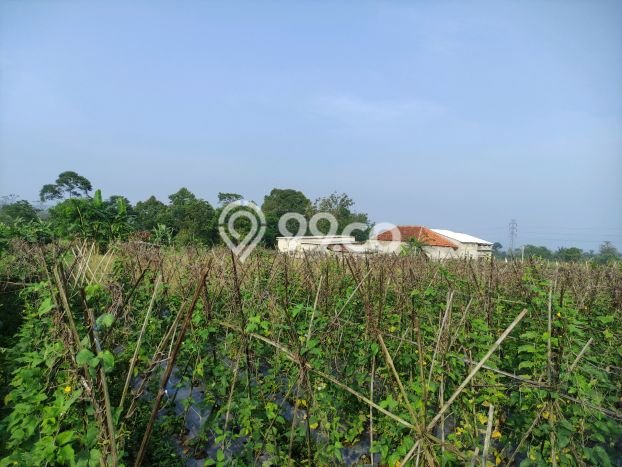 Jarang Ada! Tanah di Caringin Punya Luas 1500m2 SHM Jarang Ada! Tanah di Caringin Punya Luas 1500m2 SHM