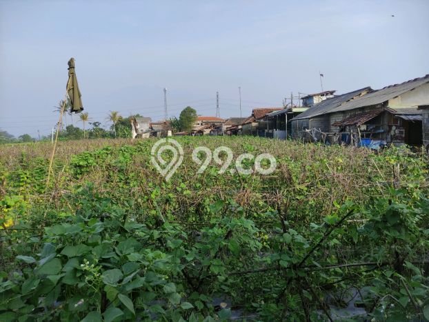Jarang Ada! Tanah di Caringin Punya Luas 1500m2 SHM Jarang Ada! Tanah di Caringin Punya Luas 1500m2 SHM