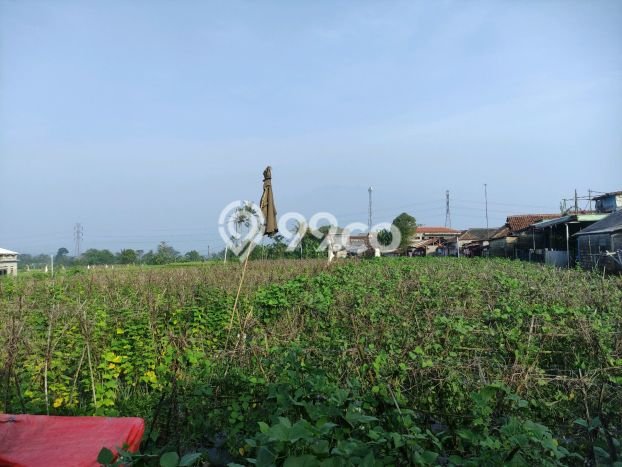 Jarang Ada! Tanah di Caringin Punya Luas 1500m2 SHM Jarang Ada! Tanah di Caringin Punya Luas 1500m2 SHM