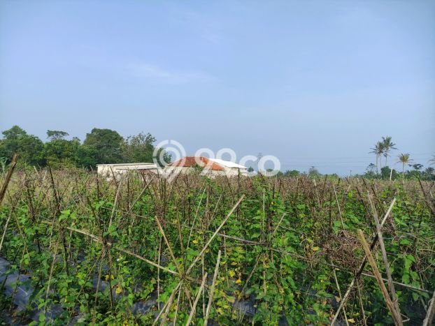 Jarang Ada! Tanah di Caringin Punya Luas 1500m2 SHM Jarang Ada! Tanah di Caringin Punya Luas 1500m2 SHM