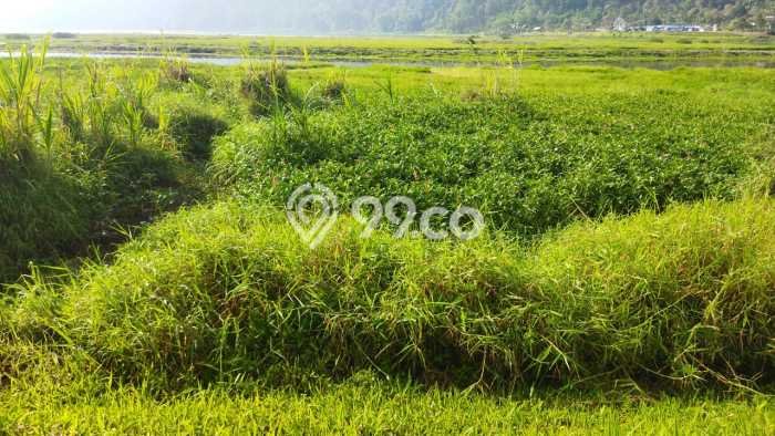 Kavling Tanah Dijual di Sukasada, Buleleng, Luas 4200m2 Area Strategis Kavling Tanah Dijual di Sukasada, Buleleng, Luas 4200m2 Area Strategis