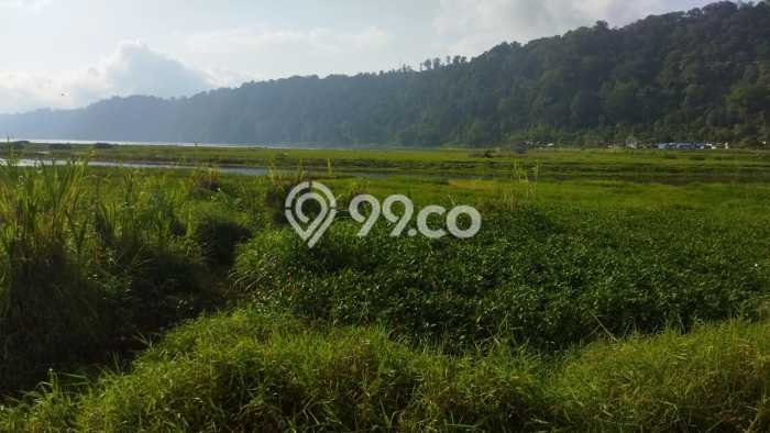 Kavling Tanah Dijual di Sukasada, Buleleng, Luas 4200m2 Area Strategis Kavling Tanah Dijual di Sukasada, Buleleng, Luas 4200m2 Area Strategis
