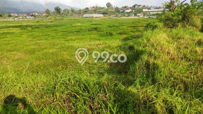 Kavling Tanah Dijual di Sukasada, Buleleng, Luas 4200m2 Area Strategis Kavling Tanah Dijual di Sukasada, Buleleng, Luas 4200m2 Area Strategis