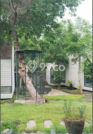 Rumah Luxury di Badung Strategis Kondisi Terawat Rumah Luxury di Badung Strategis Kondisi Terawat
