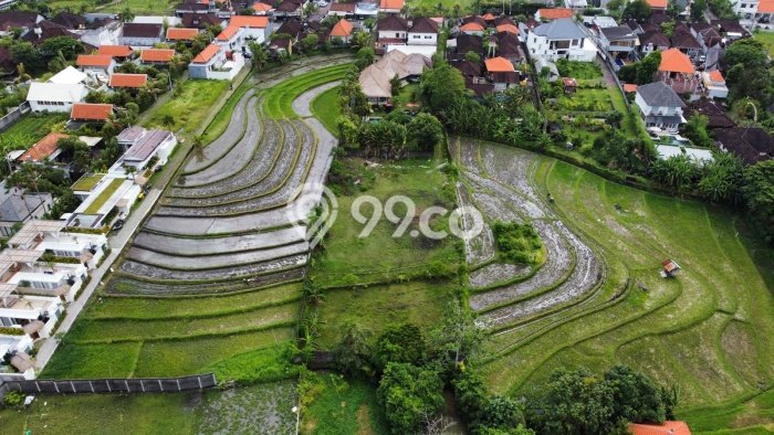 Tanah Investasi Dijual di Badung Punya Luas 1910m2 Tanah Investasi Dijual di Badung Punya Luas 1910m2