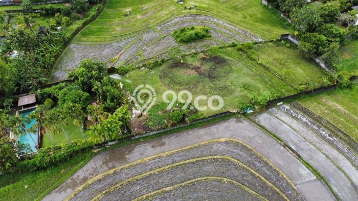 Tanah Investasi Dijual di Badung Punya Luas 1910m2 Tanah Investasi Dijual di Badung Punya Luas 1910m2