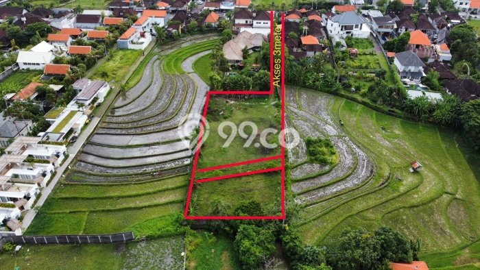 Tanah Investasi Dijual di Badung Punya Luas 1910m2 Tanah Investasi Dijual di Badung Punya Luas 1910m2