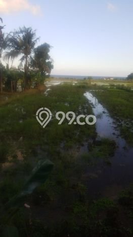 Kavling Tanah untuk Dijual di Tulikup, Gianyar, Luas 16000m2 Kavling Tanah untuk Dijual di Tulikup, Gianyar, Luas 16000m2