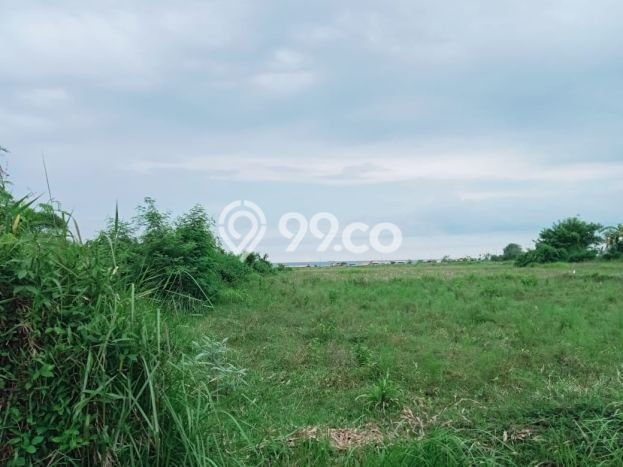 Untuk Dijual Tanah di Gianyar, Luas 3800m2 - Untuk Dijual Tanah di Gianyar, Luas 3800m2 -