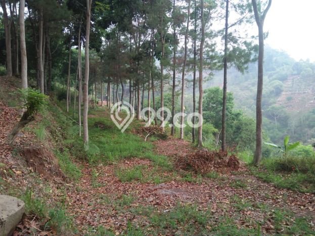 Hunian Super Elit dengan Akses Paling Strategis di Bandung Kota, Bandung Hunian Super Elit dengan Akses Paling Strategis di Bandung Kota, Bandung