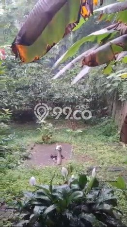Dijual Rumah Strategis Bagus Punya 2 KT di Pancoran Mas Depok SHM Dijual Rumah Strategis Bagus Punya 2 KT di Pancoran Mas Depok SHM