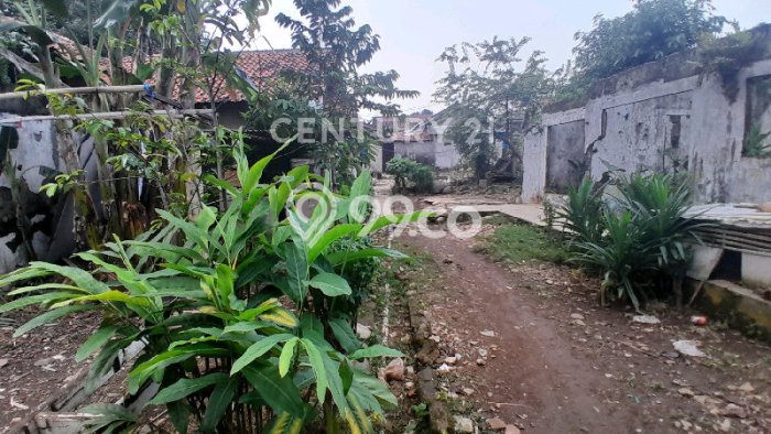 Kavling Tanah Dijual di Cibinong Bogor Spesifikasi 98m2 Kavling Tanah Dijual di Cibinong Bogor Spesifikasi 98m2