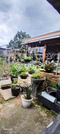 Tanah Dijual Lokasi Sukaraja, Bogor Luas 400m2 Legalitas Aman Tanah Dijual Lokasi Sukaraja, Bogor Luas 400m2 Legalitas Aman