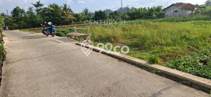 Untuk Dijual Tanah di Dramaga Bogor Luas 505m2 SHM Untuk Dijual Tanah di Dramaga Bogor Luas 505m2 SHM